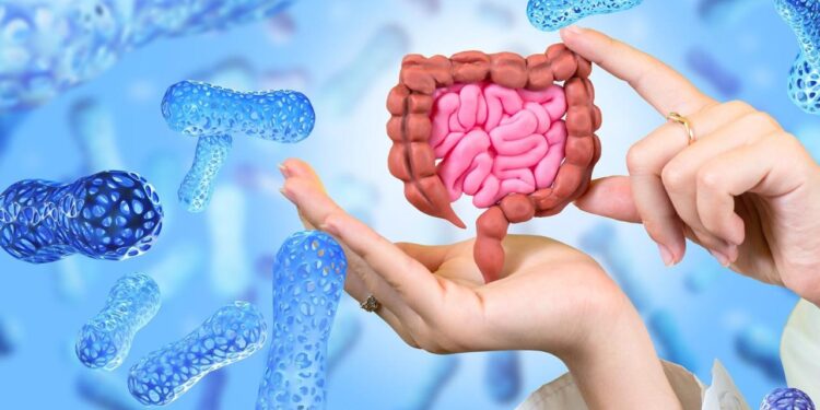 Microbiome Health Influences Mood and Cognitive Function