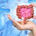 Microbiome Health Influences Mood and Cognitive Function