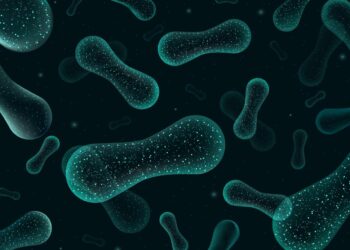 The Gut-Brain Axis Impacts Significantly on Mental Well-Being